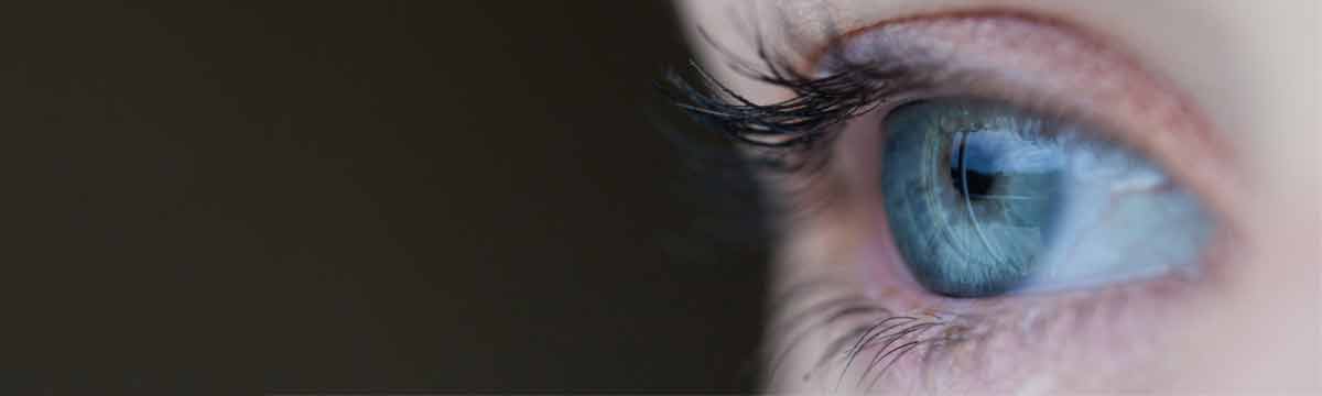 construire une marque forte