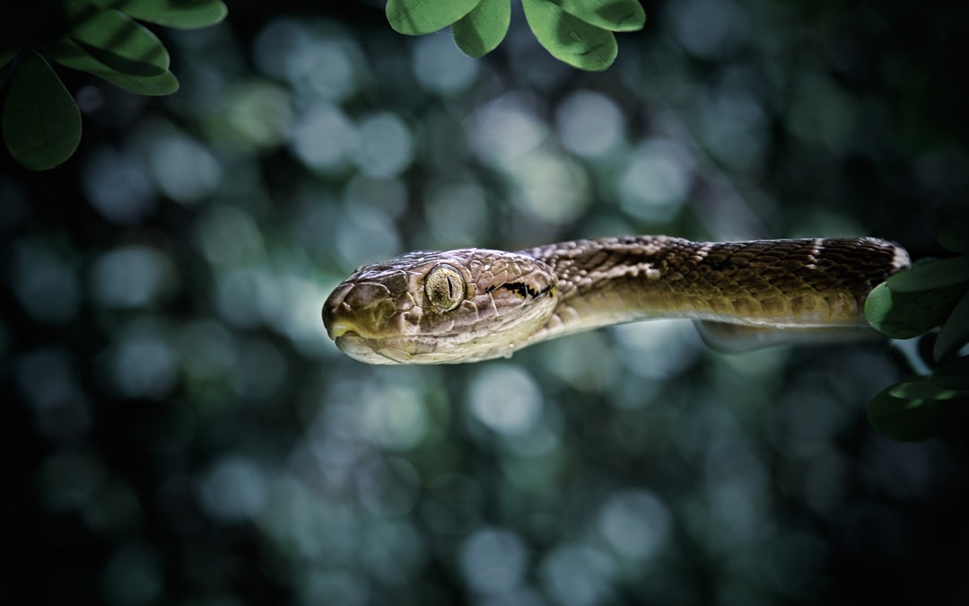 Les 6 péchés capitaux du Growth Hacking à tout prix